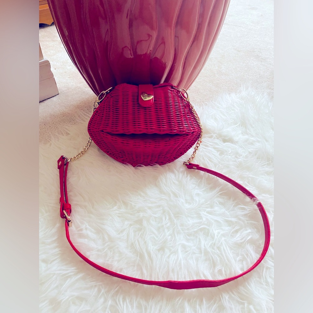 Aldo Lip wicker bag